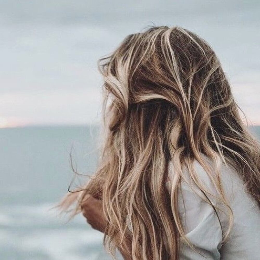 Welcome to Sea Studio.